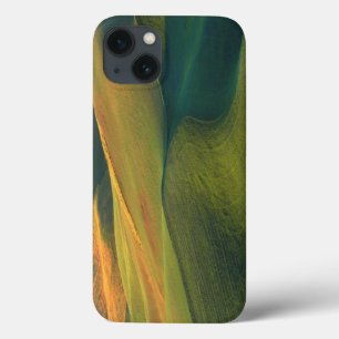 USA, Washington, Palouse, Whitman County iPhone 13 Case