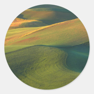USA, Washington, Palouse, Whitman County Classic Round Sticker
