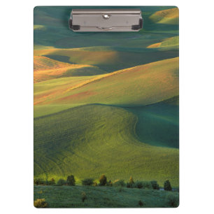 USA, Washington, Palouse, Whitman County Clipboard