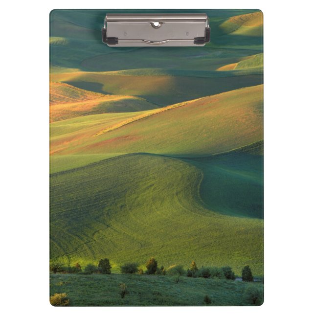 USA, Washington, Palouse, Whitman County Clipboard (Front)
