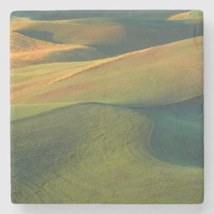 USA, Washington, Palouse, Whitman County Stone Coaster
