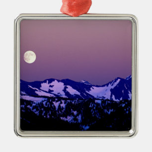 USA, Washington, Port Angeles, Olympic National Metal Tree Decoration