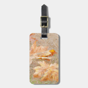 USA, Washington, Quinault. Maple Leaves Luggage Tag