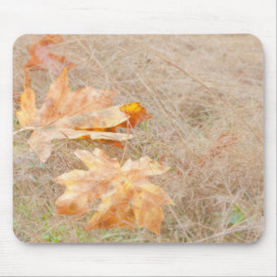 USA, Washington, Quinault. Maple Leaves Mouse Pad