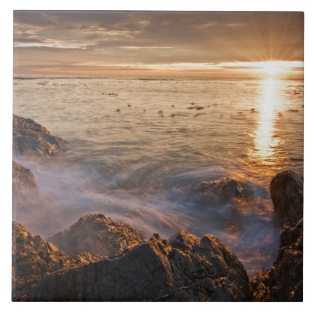 USA, Washington, San Juan Islands.  A dramatic Ceramic Tile (Front)