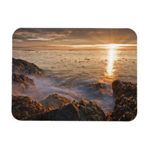 USA, Washington, San Juan Islands. A dramatic Magnet