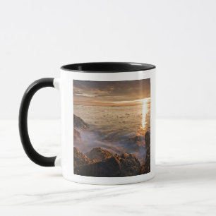 USA, Washington, San Juan Islands.  A dramatic Mug