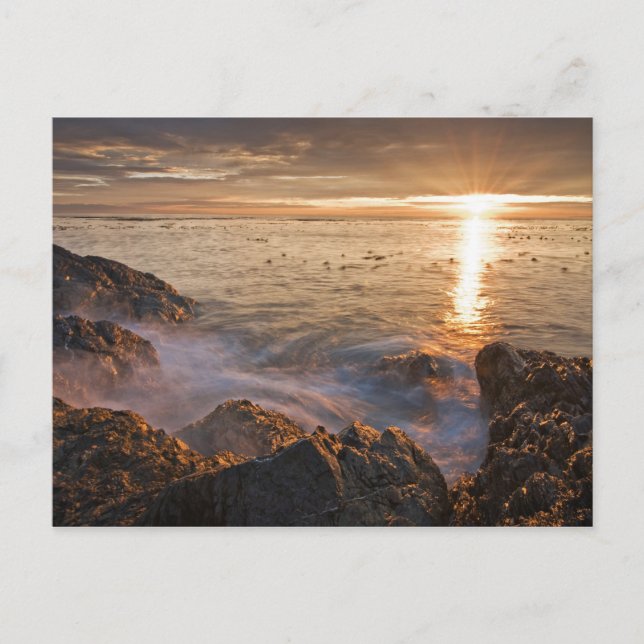 USA, Washington, San Juan Islands.  A dramatic Postcard (Front)