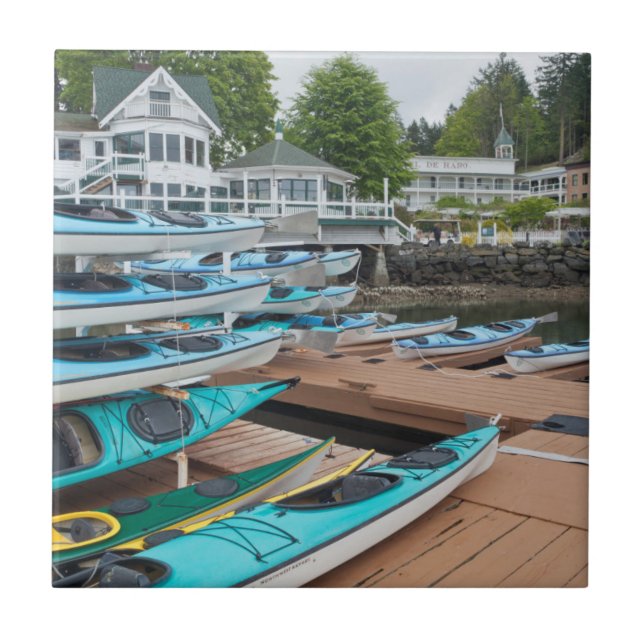 USA, Washington, San Juan Islands Tile (Front)