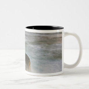 USA, Washington, San Juan Islands.  Waves crash Two-Tone Coffee Mug