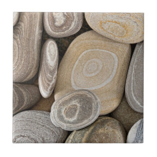 USA, Washington, Seabeck. Close-Up Of Beach 2 Tile