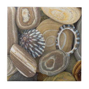 USA, Washington, Seabeck. Close-Up Of Beach Ceramic Tile