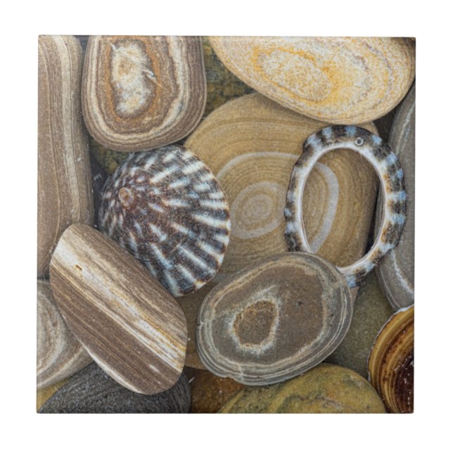 USA, Washington, Seabeck. Close-Up Of Beach Ceramic Tile (Front)