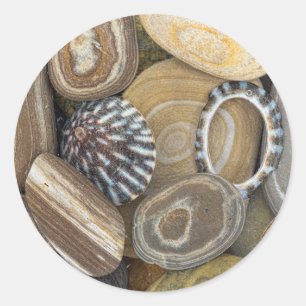 USA, Washington, Seabeck. Close-Up Of Beach Classic Round Sticker