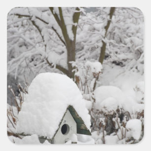 USA, Washington, Seabeck. Close-up of bird house Square Sticker