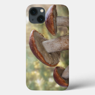 USA, Washington, Seabeck. Leccinum Insigne iPhone 13 Case