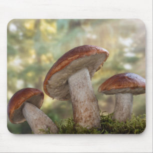 USA, Washington, Seabeck. Leccinum Insigne Mouse Pad
