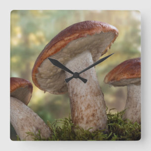 USA, Washington, Seabeck. Leccinum Insigne Square Wall Clock