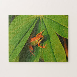 USA, Washington, Seattle, Discovery Park 2 Jigsaw Puzzle