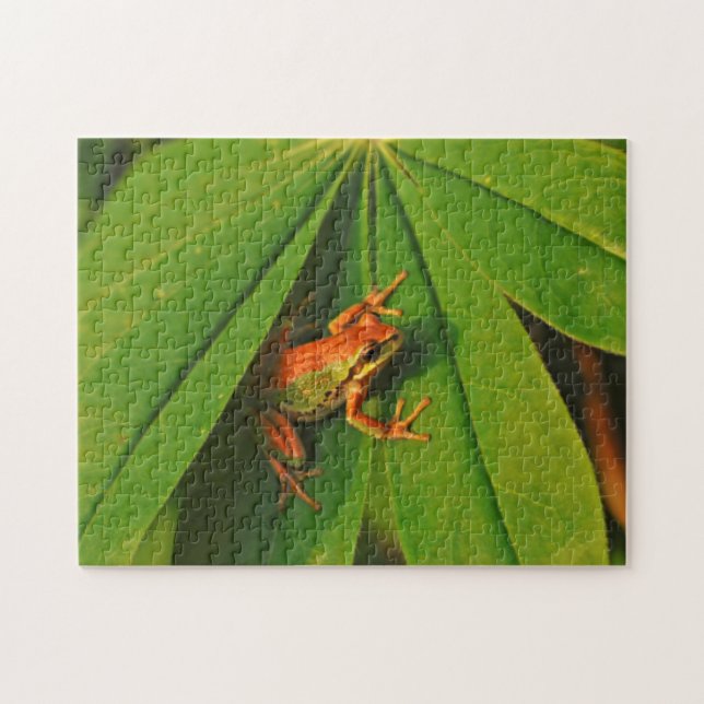 USA, Washington, Seattle, Discovery Park 2 Jigsaw Puzzle (Horizontal)