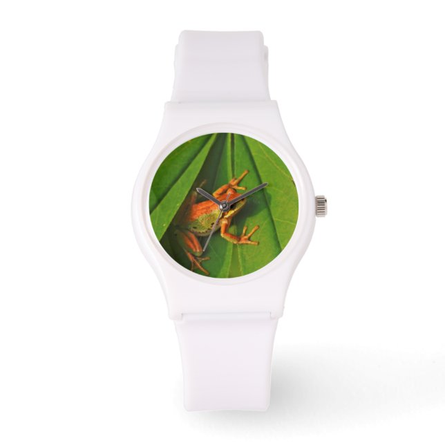 USA, Washington, Seattle, Discovery Park 2 Watch (Front)