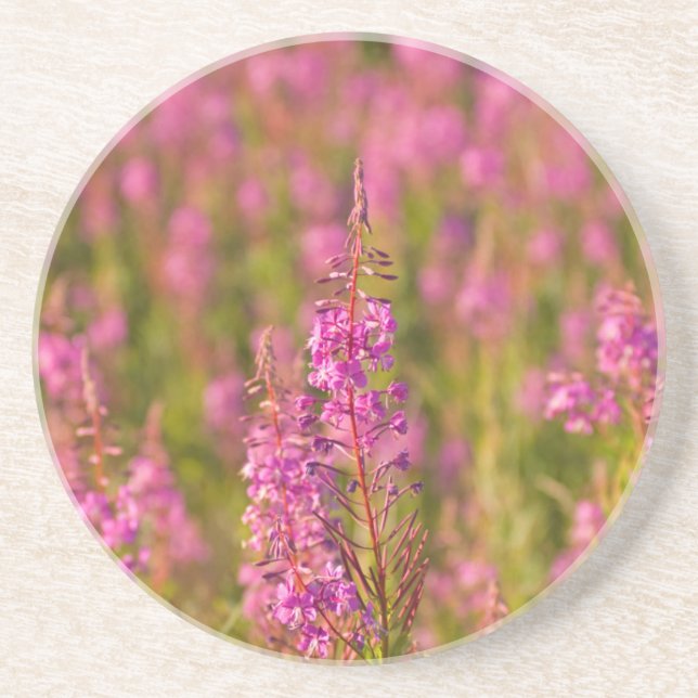 USA, Washington, Seattle, Discovery Park 3 Coaster (Front)