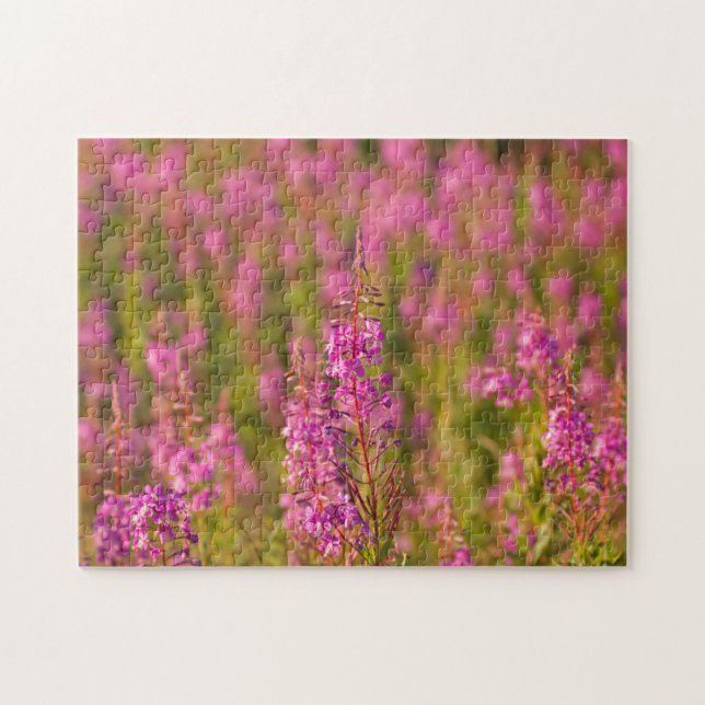 USA, Washington, Seattle, Discovery Park 3 Jigsaw Puzzle (Horizontal)