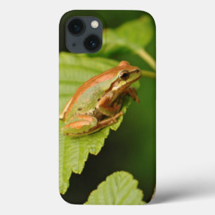 USA, Washington, Seattle, Discovery Park iPhone 13 Case