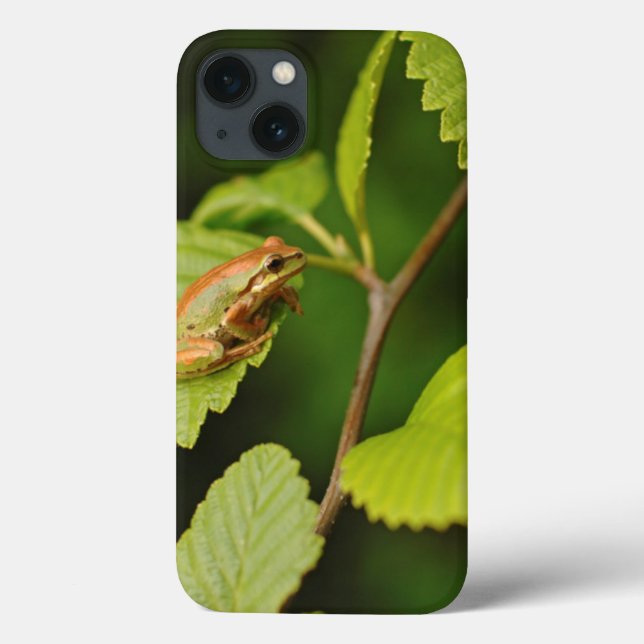 USA, Washington, Seattle, Discovery Park Case-Mate iPhone Case (Back)