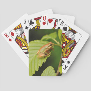 USA, Washington, Seattle, Discovery Park Playing Cards