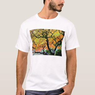 USA, Washington, Seattle, Kubota Garden. T-Shirt