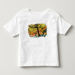 USA, Washington, Seattle, Kubota Garden. Toddler T-Shirt