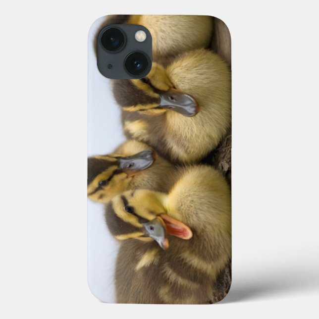 USA, Washington, Seattle, Lake Washington Case-Mate iPhone Case (Back)
