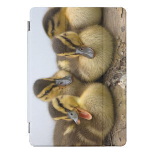 USA, Washington, Seattle, Lake Washington iPad Pro Cover