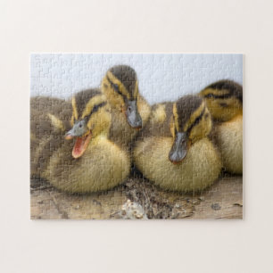 USA, Washington, Seattle, Lake Washington Jigsaw Puzzle