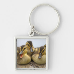 USA, Washington, Seattle, Lake Washington Key Ring