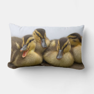 USA, Washington, Seattle, Lake Washington Lumbar Cushion