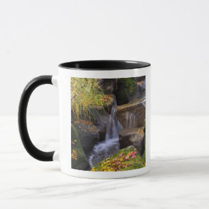 USA, Washington, Seattle Mug