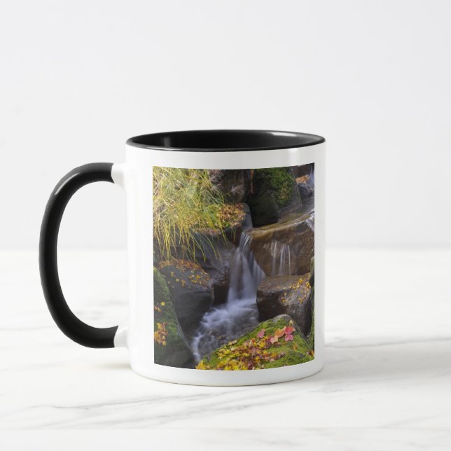 USA, Washington, Seattle Mug (Left)