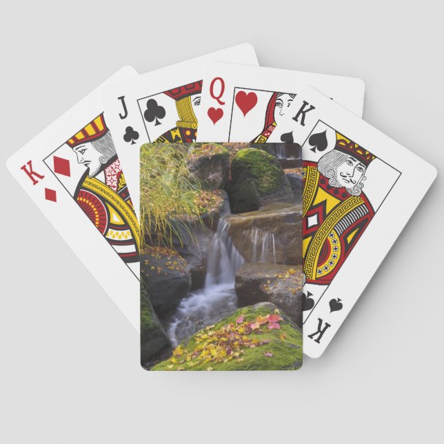 USA, Washington, Seattle Playing Cards (Back)