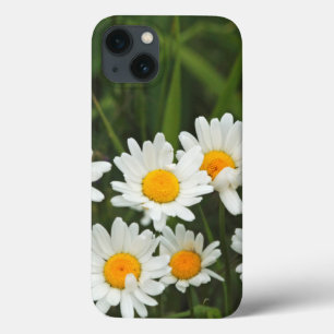USA, Washington, Seattle, Puget Sound 3 iPhone 13 Case