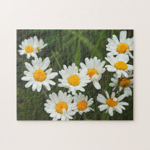 USA, Washington, Seattle, Puget Sound 3 Jigsaw Puzzle