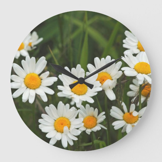 USA, Washington, Seattle, Puget Sound 3 Large Clock (Front)