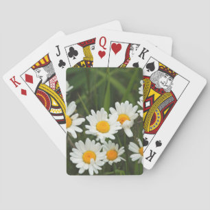 USA, Washington, Seattle, Puget Sound 3 Playing Cards