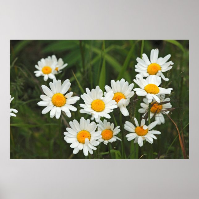 USA, Washington, Seattle, Puget Sound 3 Poster (Front)