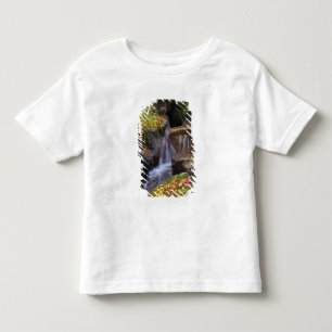 USA, Washington, Seattle Toddler T-Shirt