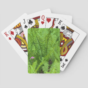 USA, Washington, Seattle, Washington Park Playing Cards