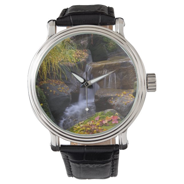 USA, Washington, Seattle Watch (Front)