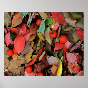 USA, Washington, Spokane Co., Hawthorn Leaves Poster