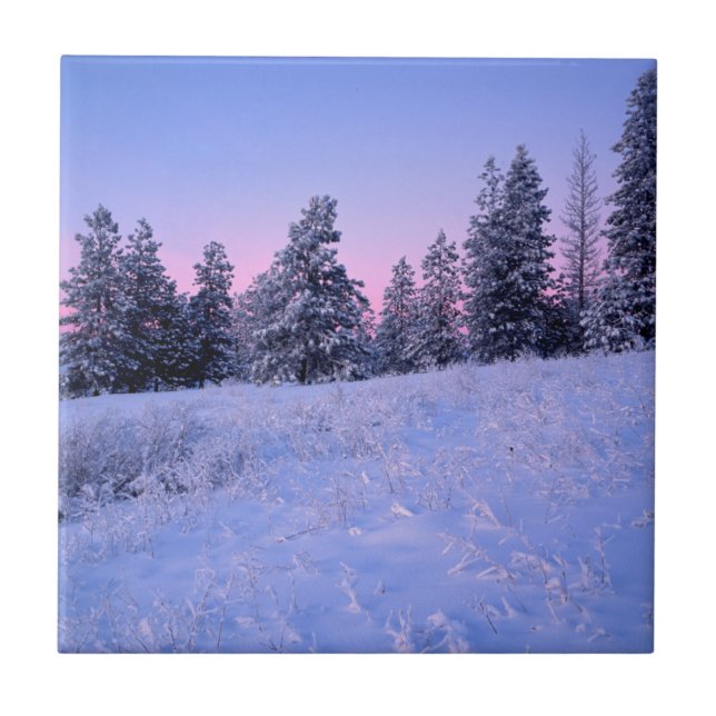 USA, Washington, Spokane County, Browne Mountain Ceramic Tile (Front)